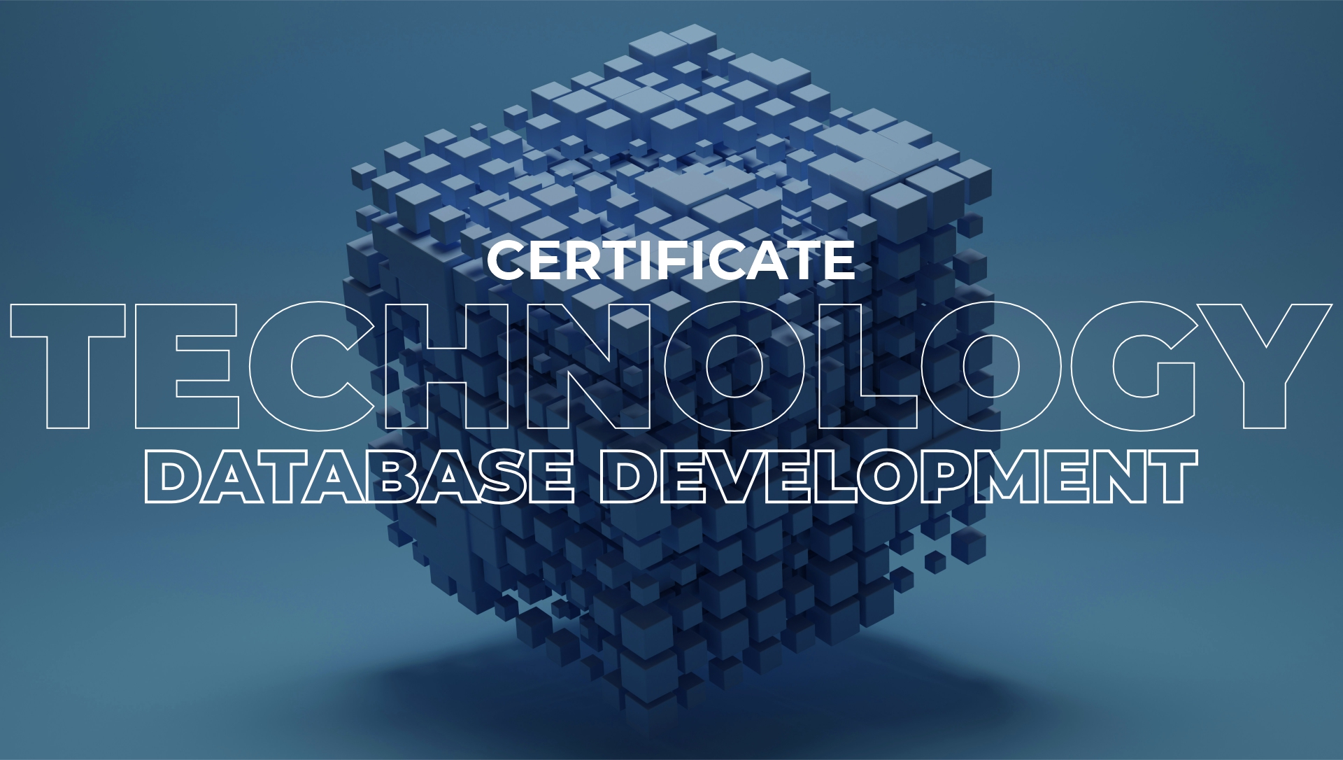 Database Development