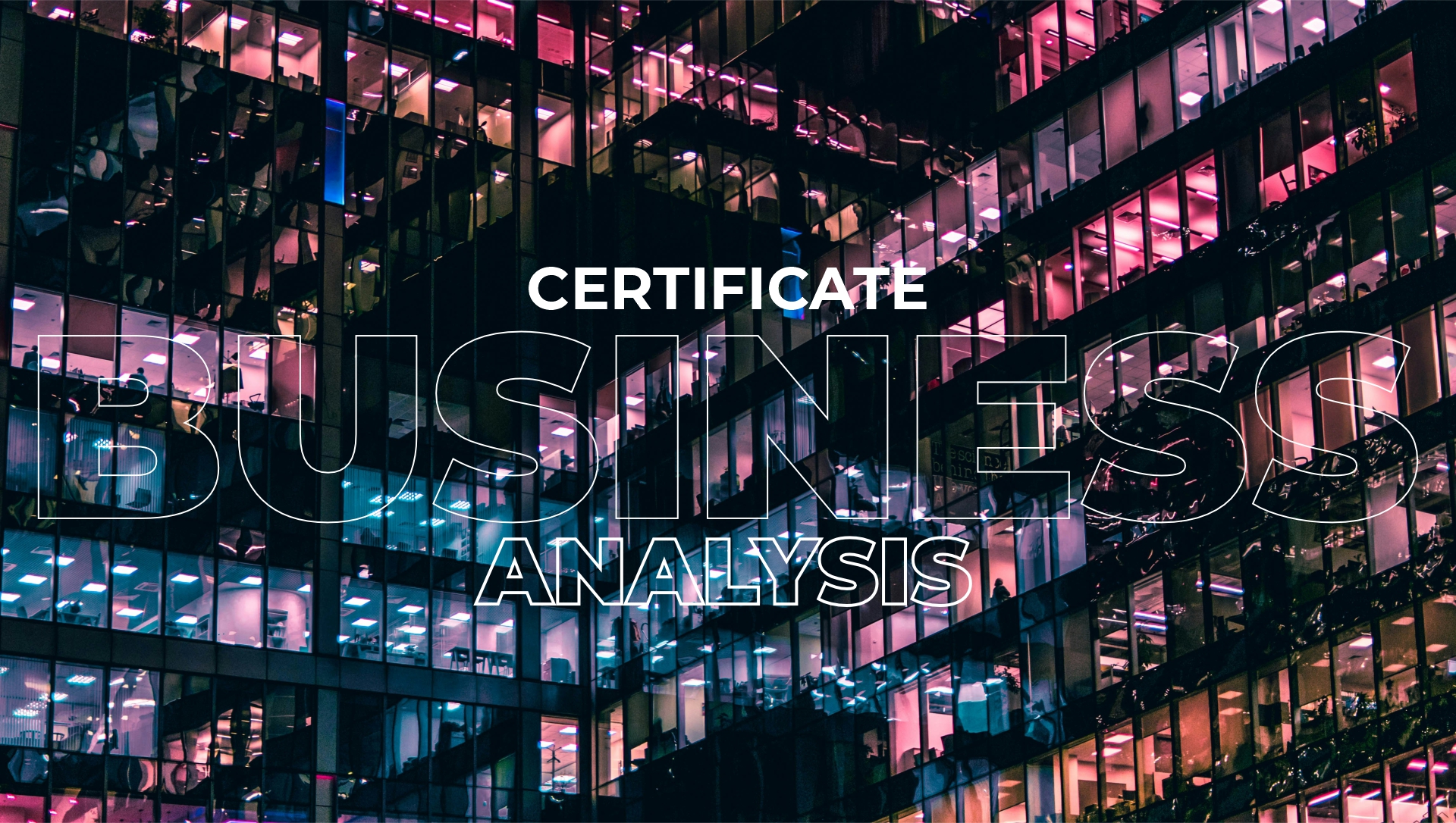 Business Analysis