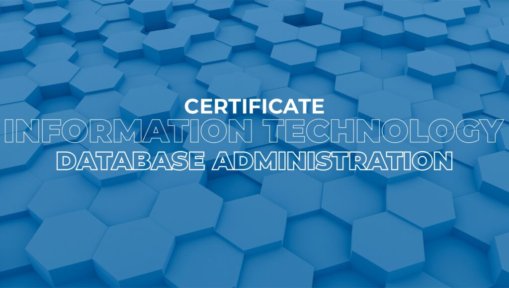 Information Technology Database Administration