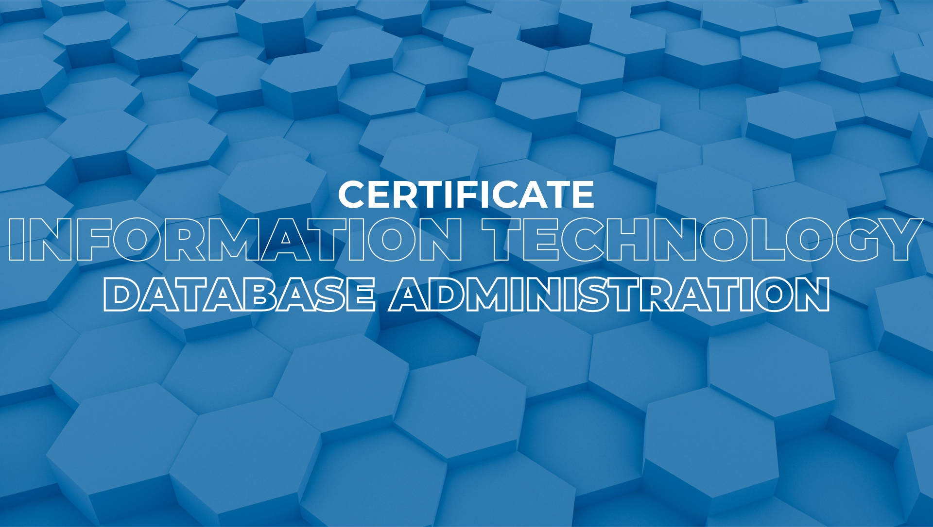 Information Technology Database Administration